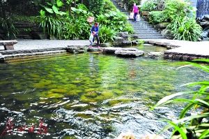 2017年廣州市兩會 水務(wù)局預(yù)算劍指水污染治理，高效著力環(huán)保技術(shù)開發(fā)服務(wù)