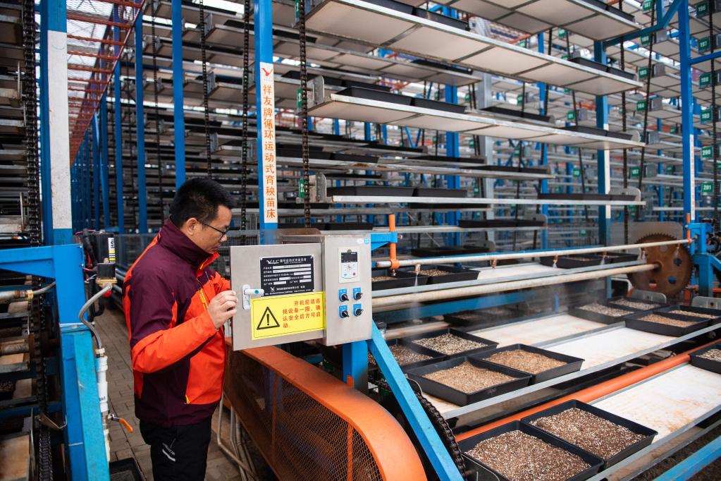 春耕新畫卷 湖南水稻大省的“保姆式”服務(wù)、智能工廠與連片沃土